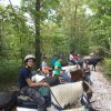 2017 Horseback Riding